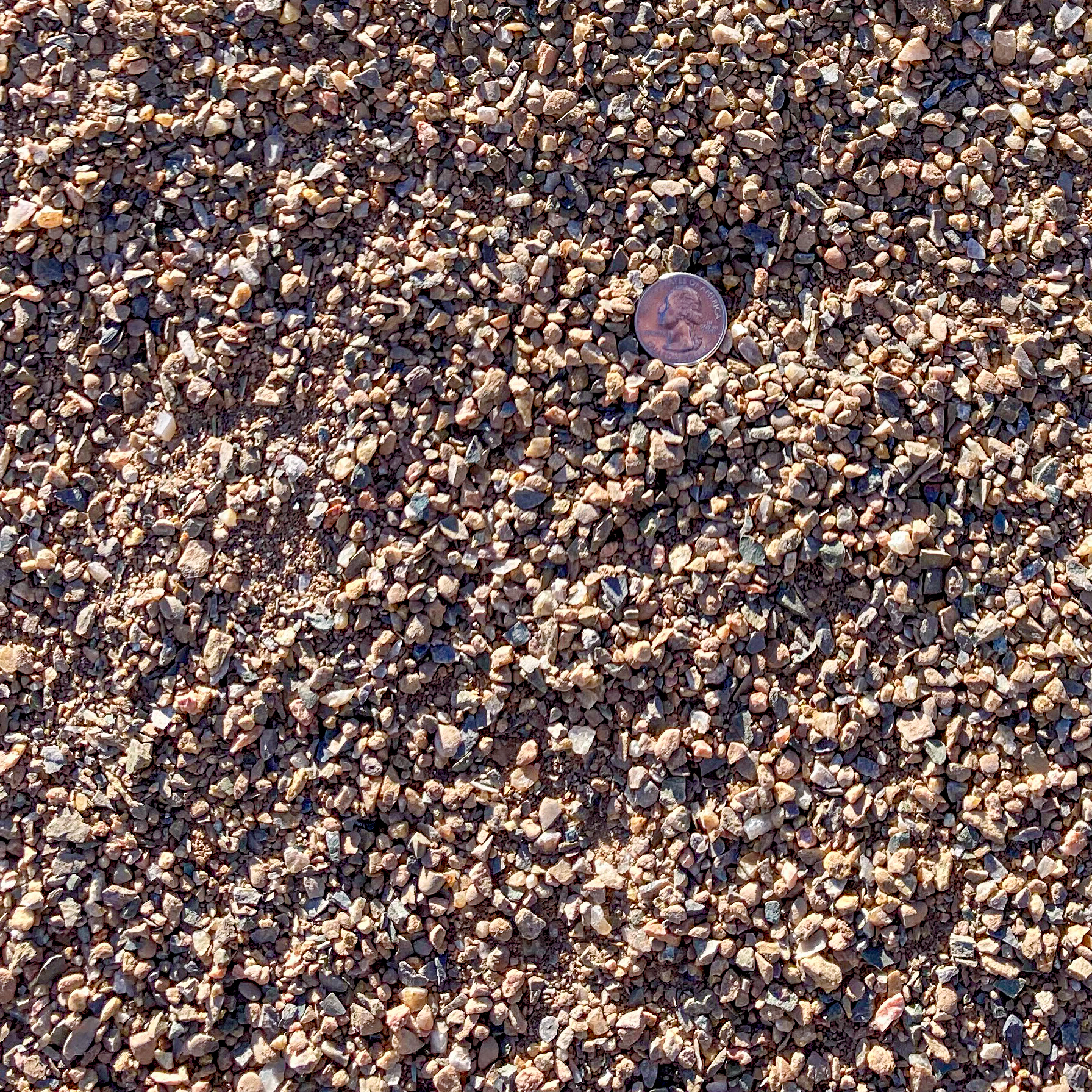 rocks ground cover clovis new mexico