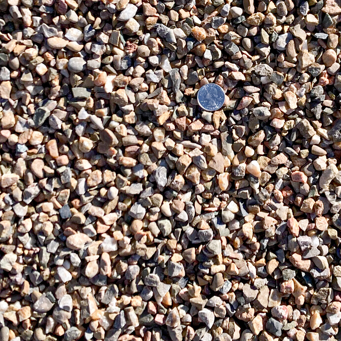 rocks ground cover clovis new mexico