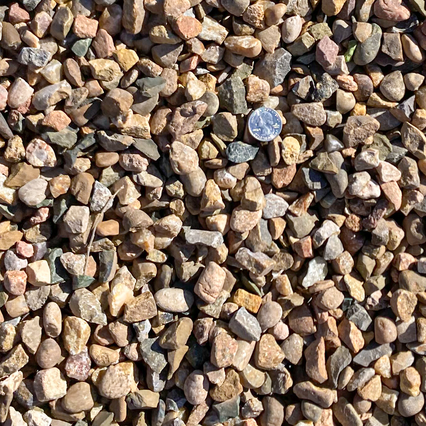 rocks ground cover clovis new mexico