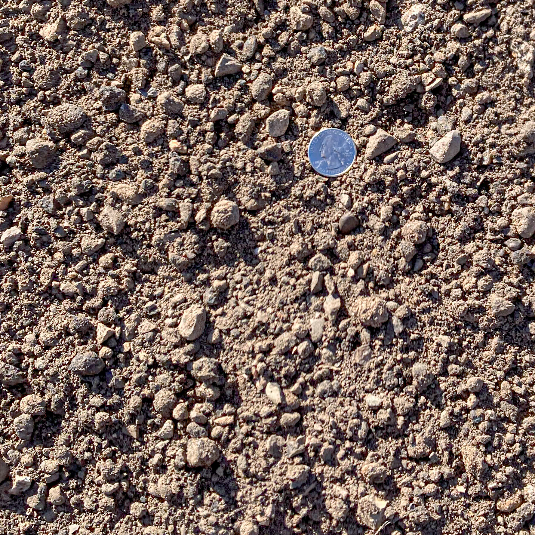 rocks ground cover clovis new mexico