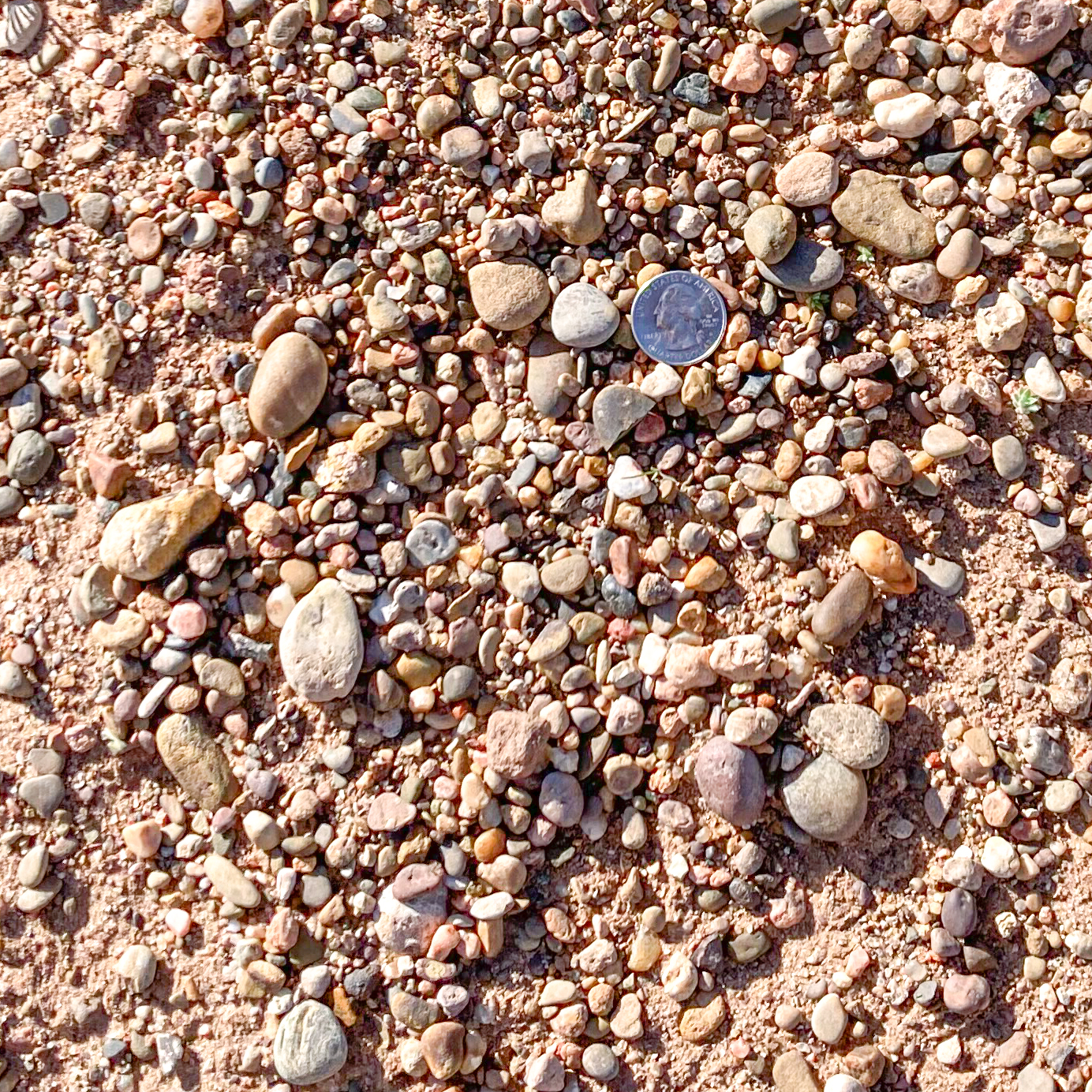 rocks ground cover clovis new mexico