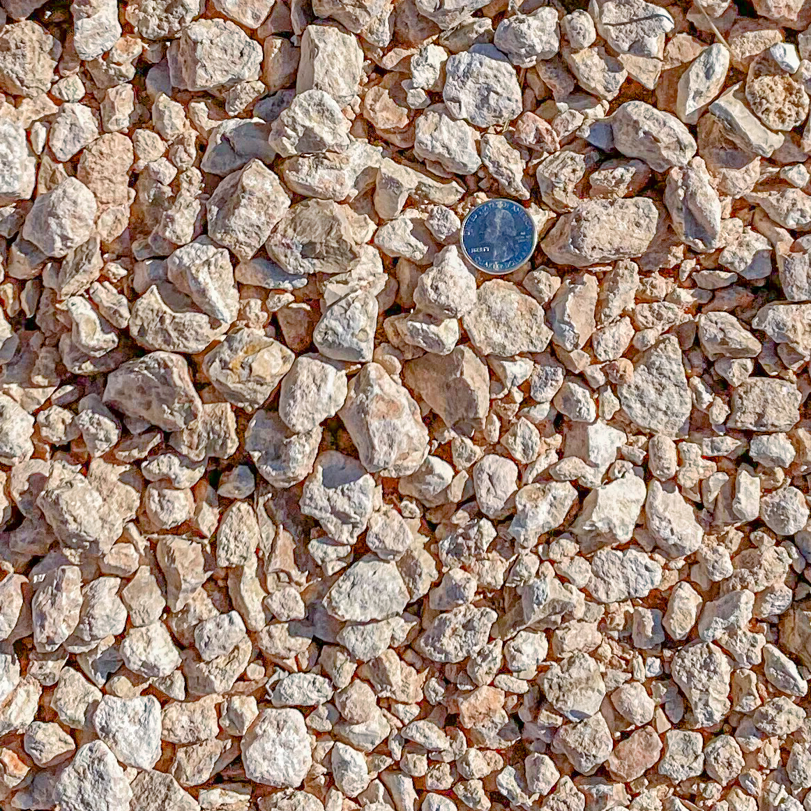 rocks ground cover clovis new mexico