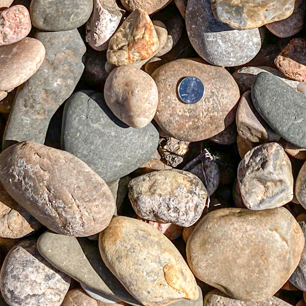 rocks ground cover clovis new mexico