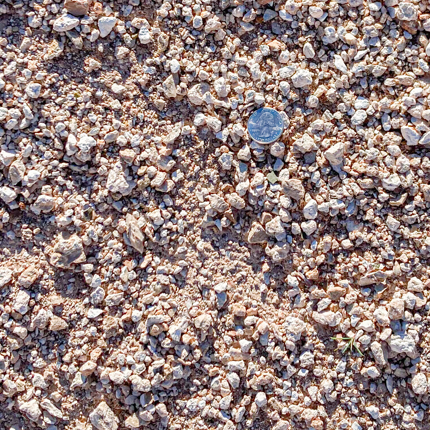 rocks ground cover clovis new mexico