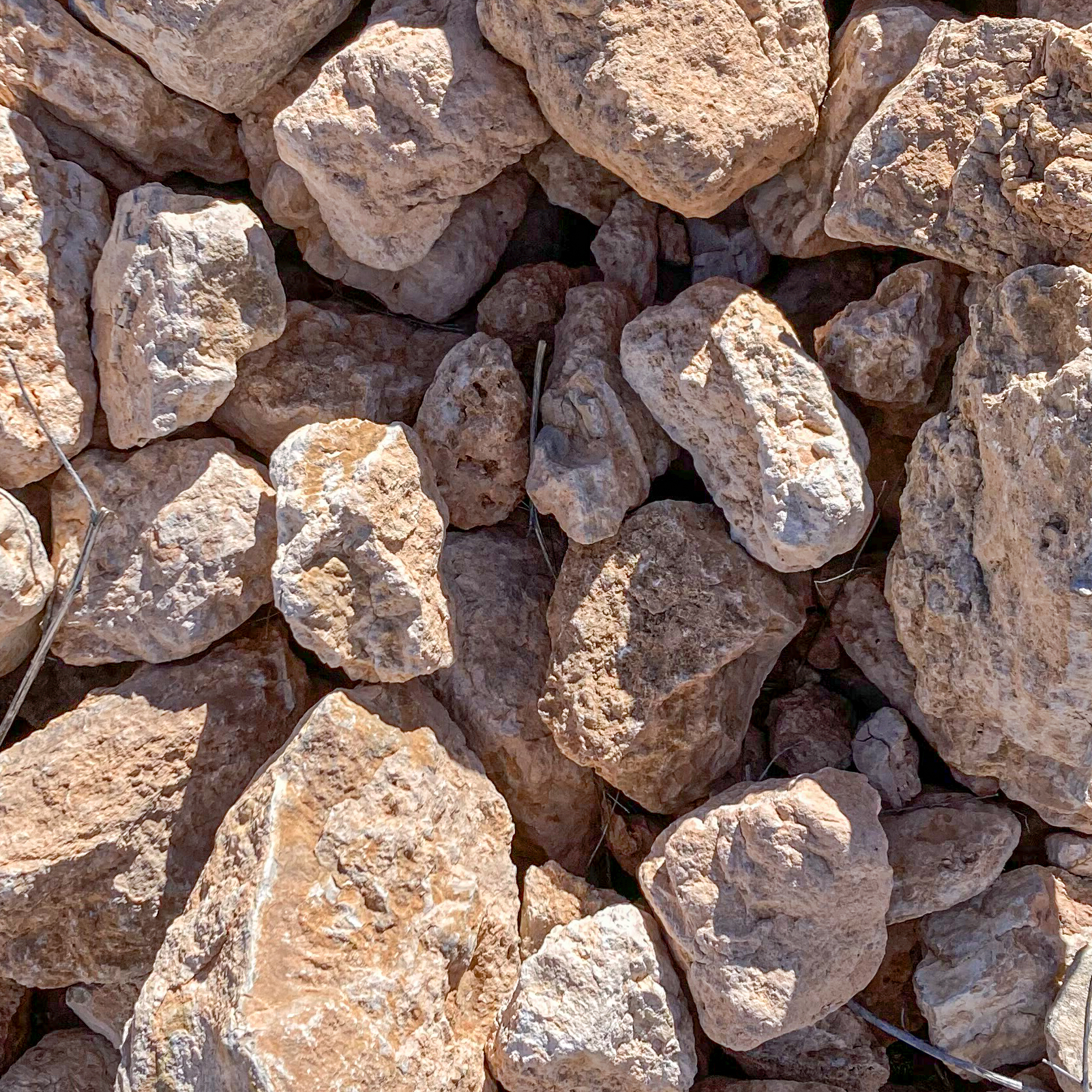 rocks ground cover clovis new mexico